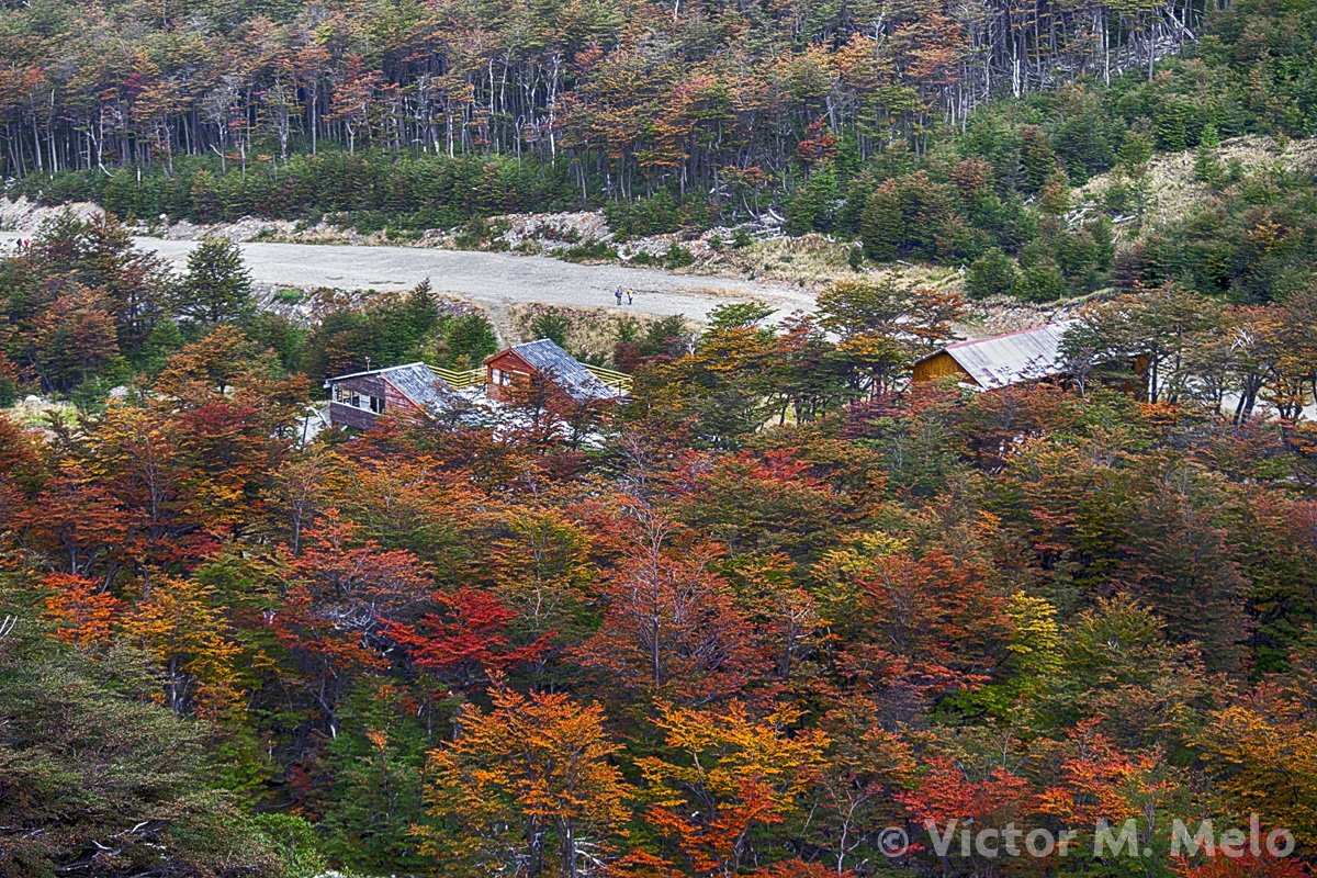 Camino hacia el Glaciar Martial