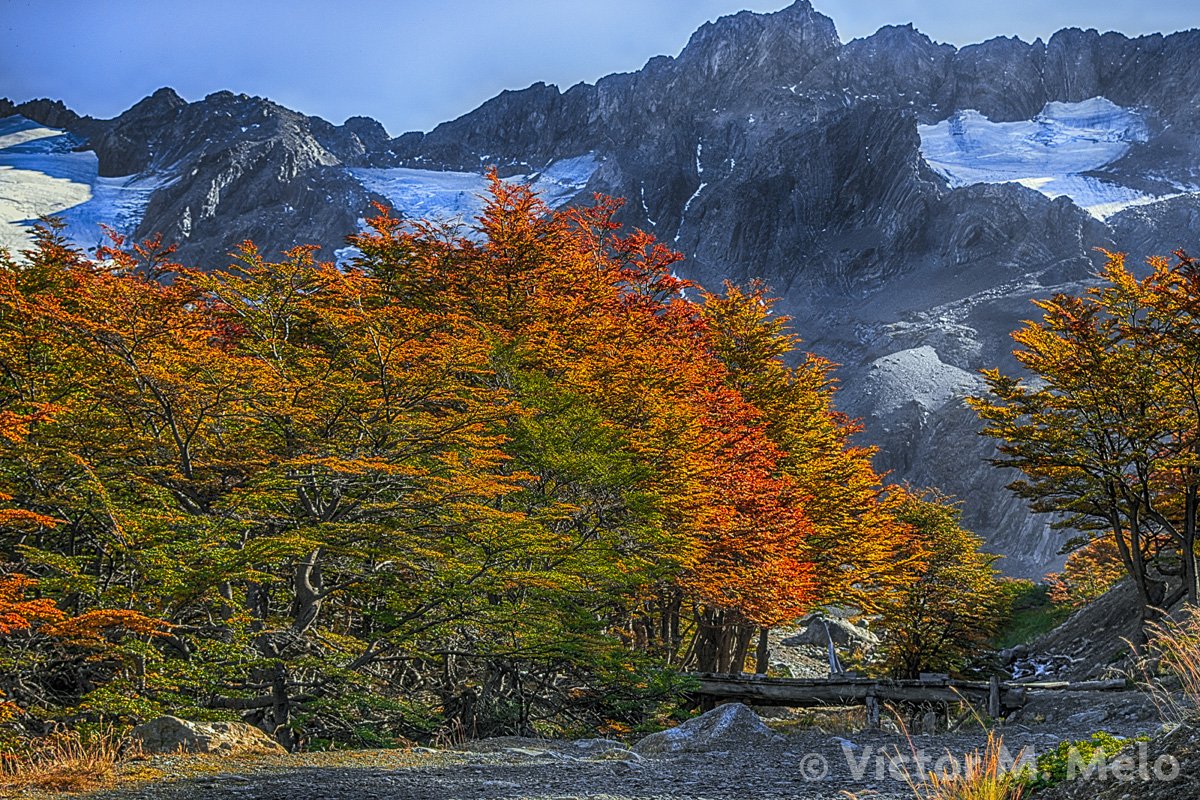 Camino hacia el Glaciar Martial