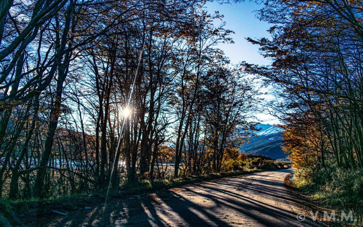 Parque Nacional Tierra del Fuego